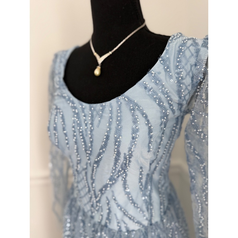 Whimsigoth Ice Blue beaded Formal Gown Fairycore Long Sleeve Mesh Dress XS/S - Picture 3 of 13